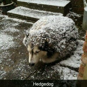 Meet your Posher, Jason